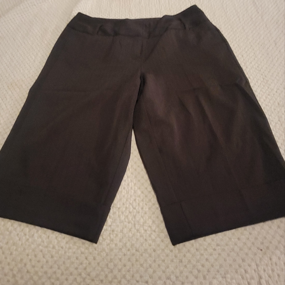Capri dressy pant